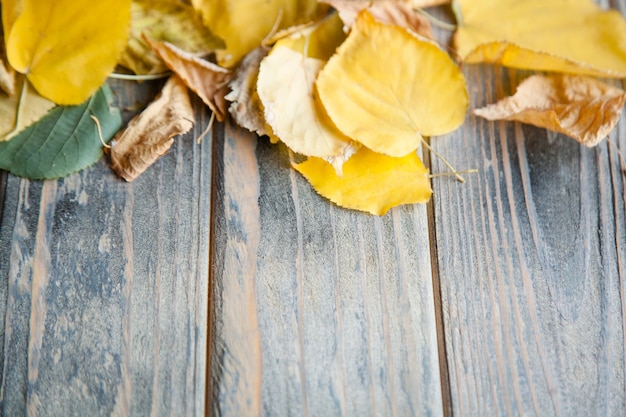 Foglie di autunno gialle su fondo di legno rustico afflitto. arredamento stagionale su superficie in legno naturale con spazio libero.