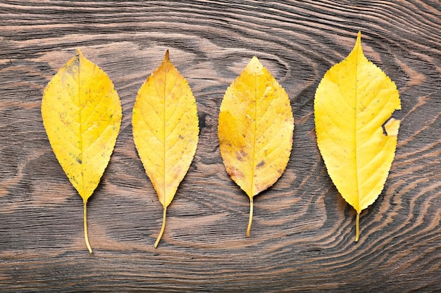 Foglie di autunno gialle sui precedenti di legno