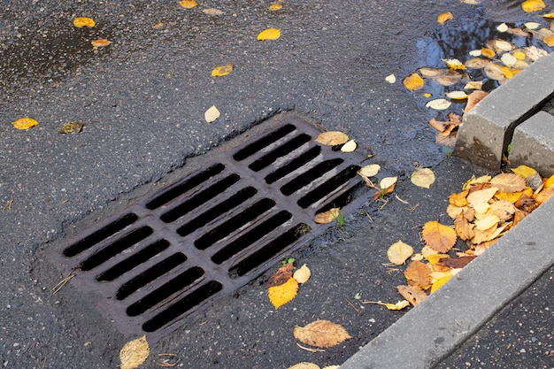 Foglie di autunno gialle sulla grata della fogna sulla strada