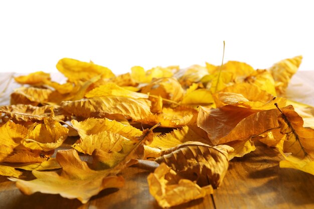 Foglie di autunno gialle sulla tavola di legno isolata su bianco