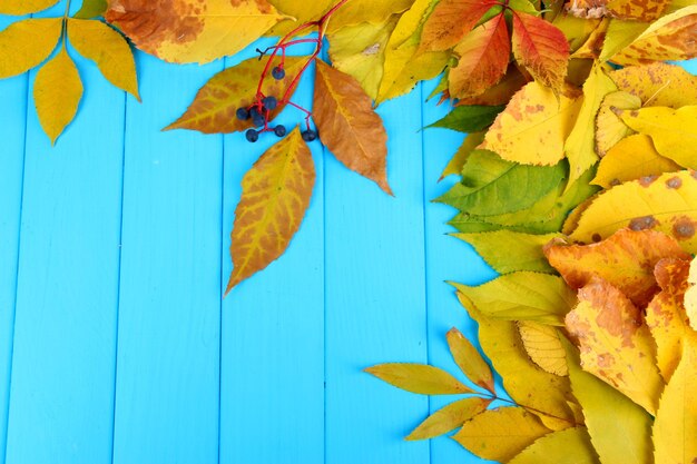 Foglie di autunno luminose su sfondo blu tavola di legno