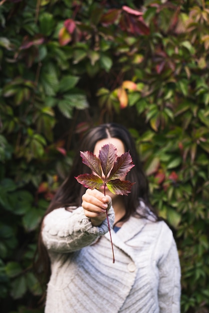 Foglie di autunno nelle mani della ragazza