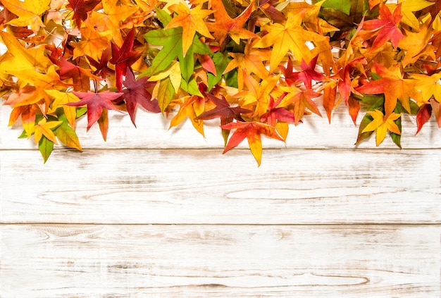 Foglie di autunno su fondo di legno rustico Concetto di caduta