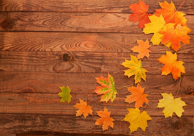 Foglie di autunno su un tavolo di legno