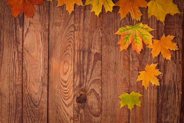 Foglie di autunno su un tavolo di legno