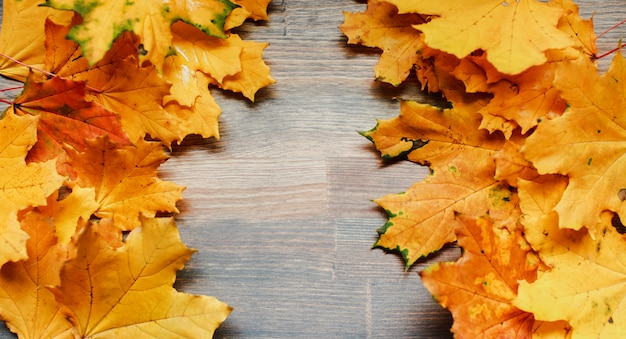 foglie di autunno sul tavolo