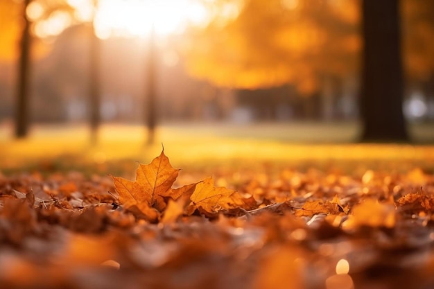 Foglie di autunno sul terreno nella foresta