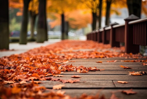 Foglie di autunno sulla passerella copiano lo spazio per il testo