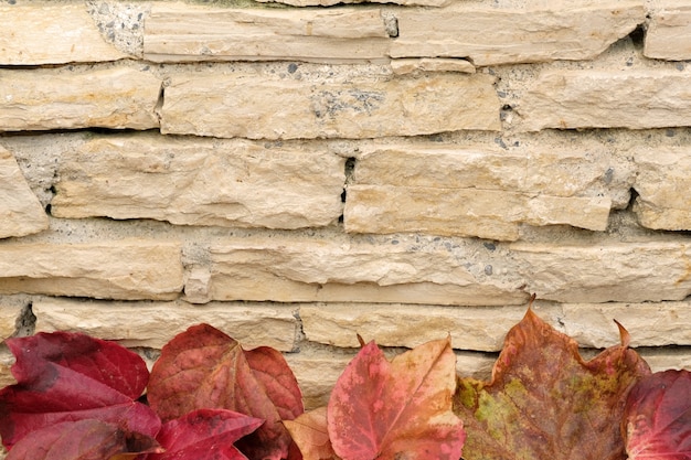 Foglie di autunno sullo sfondo di muro di pietra