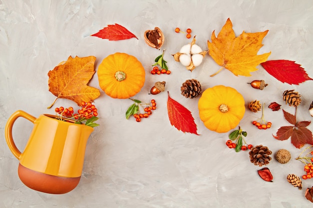 Foglie di autunno, zucche, bacche si riversano da una brocca su uno sfondo grigio