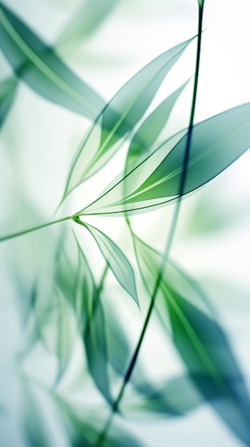 Foglie di bambù bianche e verdi astratte su uno sfondo morbido