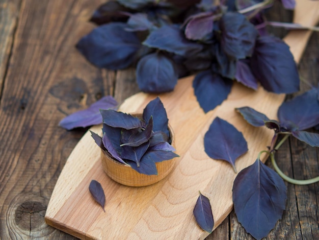 Foglie di basilico viola fresco in ciotola di legno