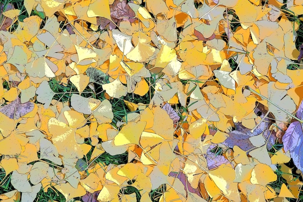 Foglie di biloba di ginkgo biloba sdraiato a terra Fogliame giallo Ginkgo un genere di ginkgo decidue piante relitte della classe Ginkgo Autunno nel parco cittadino o nella foresta Sfondo naturale