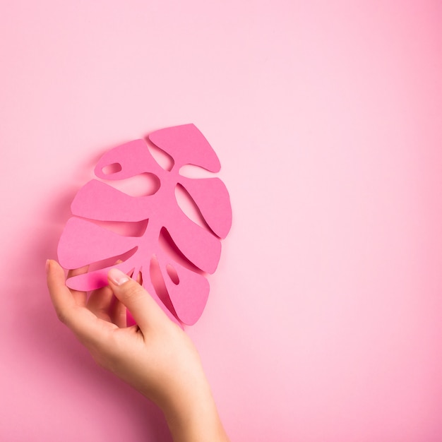 Foglie di carta rosa brillante su rosa chiaro