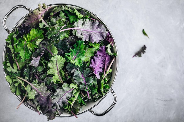 Foglie di cavolo cappuccio verde in uno scolapasta bianco su sfondo di pietra grigia Ingrediente per sane insalate di frullati vegetariani o vegani o salsa al pesto