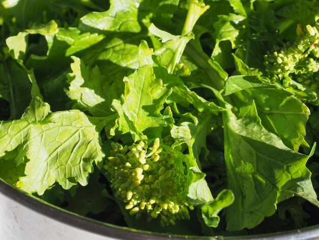 Foglie di cime di rapa