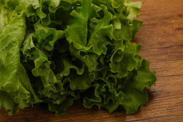 Foglie di insalata di lattuga verde