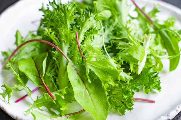 Foglie di insalata sana mescolare insalata micro verdi prodotto naturale