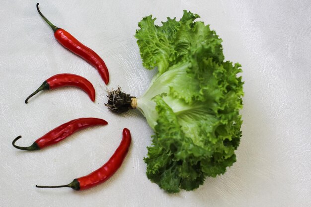 Foglie di insalata su uno sfondo bianco