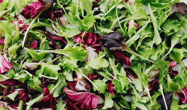 Foglie di insalata verde e viola mescolano il fondo. Foto di alta qualità