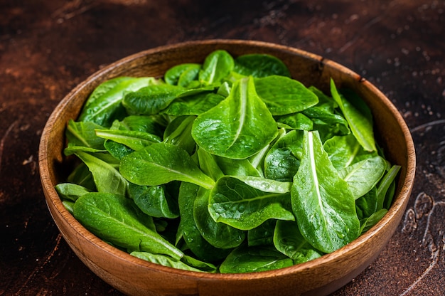 Foglie di insalata verde giovane romain nel piatto di legno