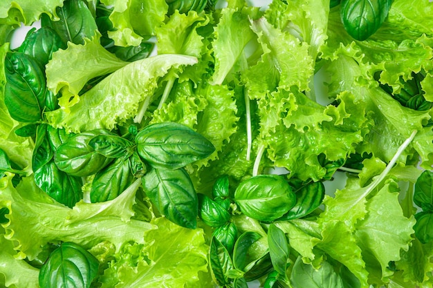 Foglie di lattuga e basilico primo piano sfondo culinario