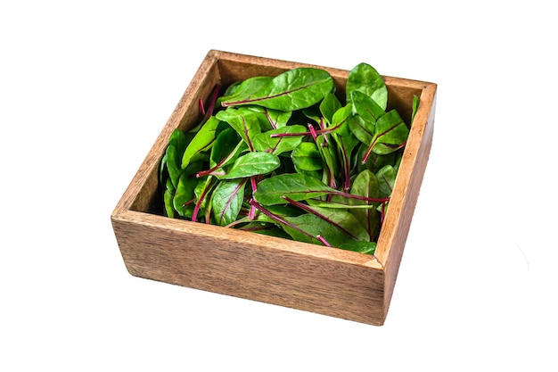 Foglie di mangold verde crudo in una scatola di legno isolate su uno sfondo bianco