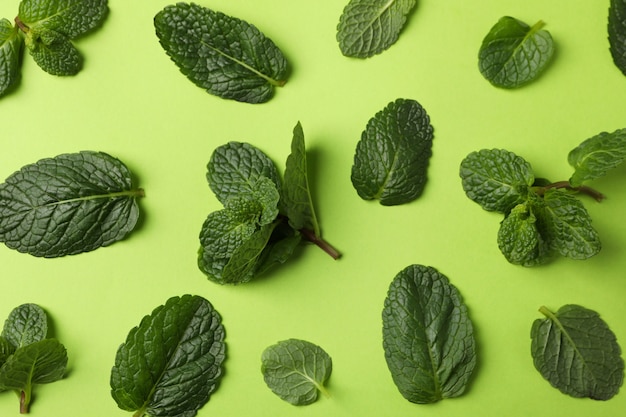 Foglie di menta fresca sulla vista verde e superiore