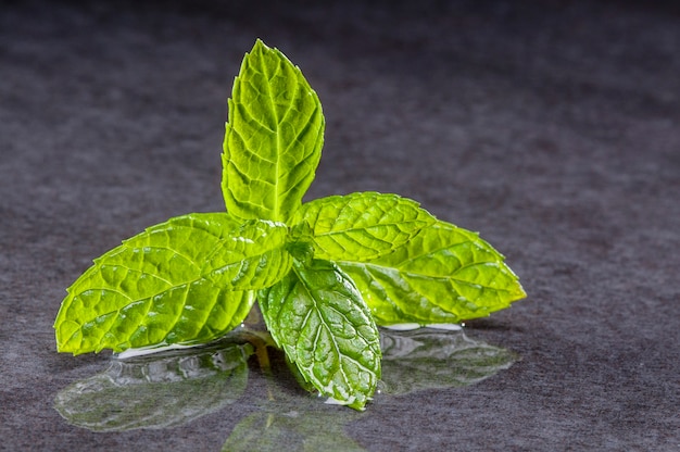 Foglie di menta su una lastra di pietra nera