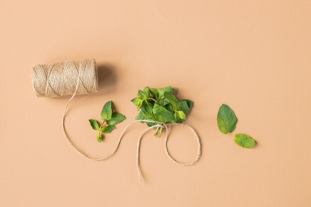 Foglie di menta verde fresca su fondo beige piatto Spazio per il testo