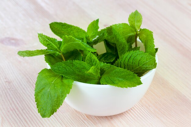 Foglie di menta verde piegate in una ciotola di porcellana bianca