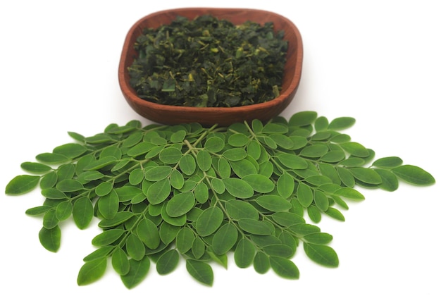 Foglie di Moringa