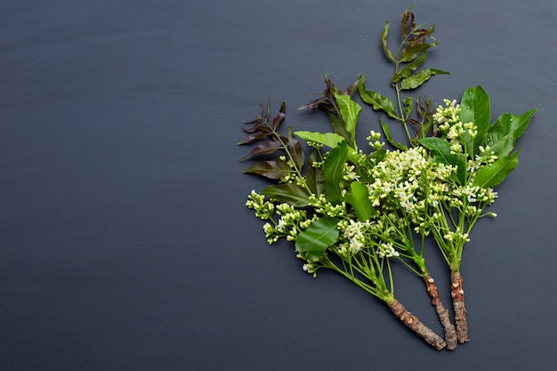 Foglie di neem e fiori sul tavolo scuro.