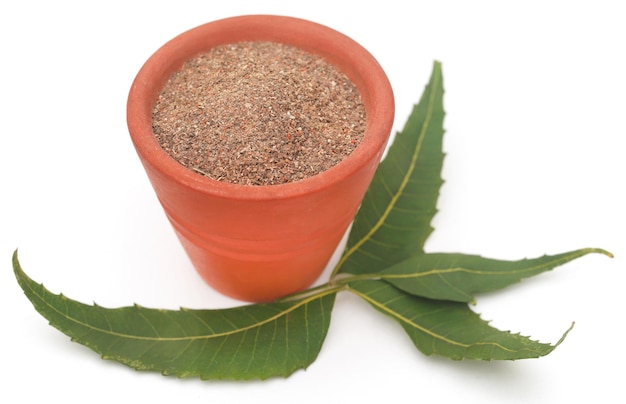 Foglie di neem medicinali con polvere