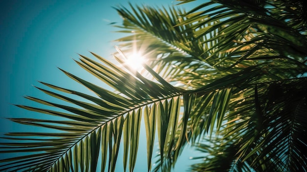 Foglie di palma al sole con il sole che splende attraverso di loro.