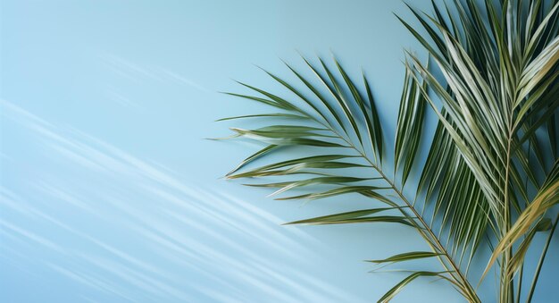 foglie di palma sulla parete blu chiaro