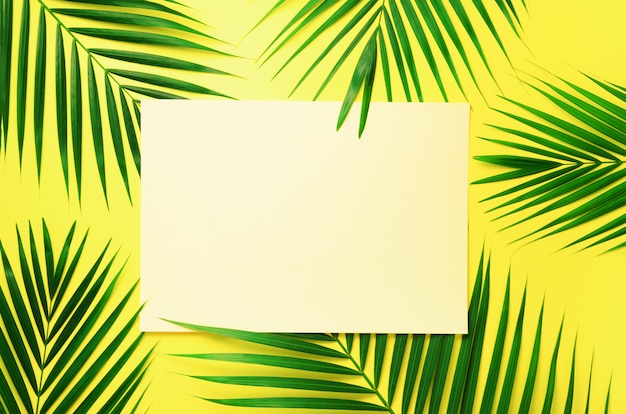 Foglie di palma tropicali su fondo giallo pastello con la nota di carta di carta. Concetto di estate minima Foglia verde su carta pastello