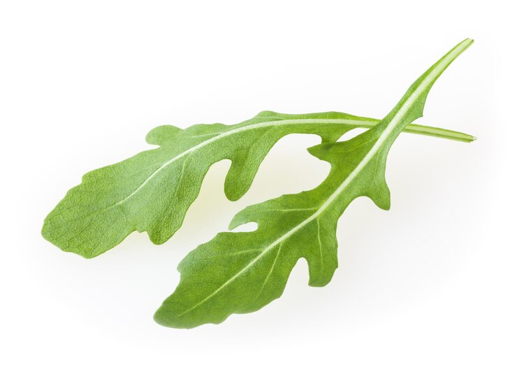 Foto foglie di rucola fresca isolate su sfondo bianco