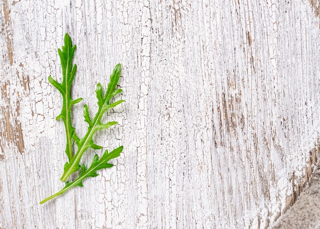 Foglie di rucola fresca sul tavolo luminoso