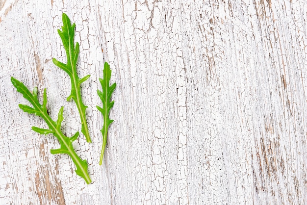 Foglie di rucola fresca sul tavolo luminoso