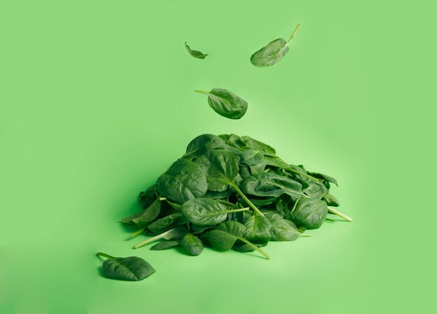 Foglie di spinaci freschi raccolte in un mazzo isolato su sfondo verde copia spazio