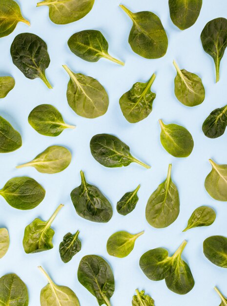 Foglie di spinaci. Vitamina verde estiva.