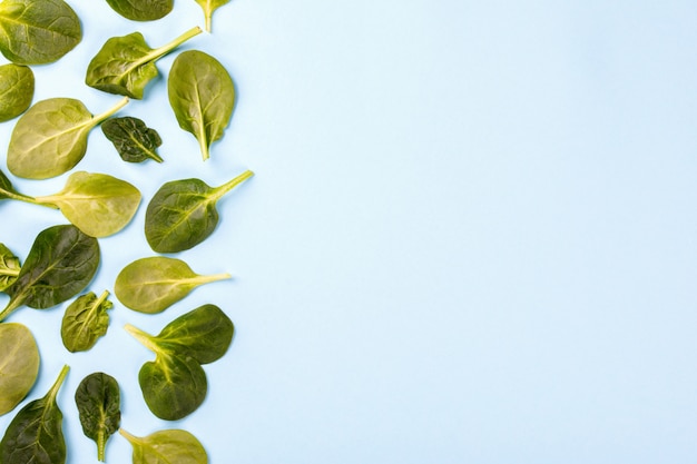 Foglie di spinaci. Vitamina verde estiva.