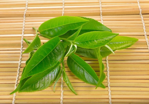 Foglie di tè verde fresche sulla stuoia di bambù