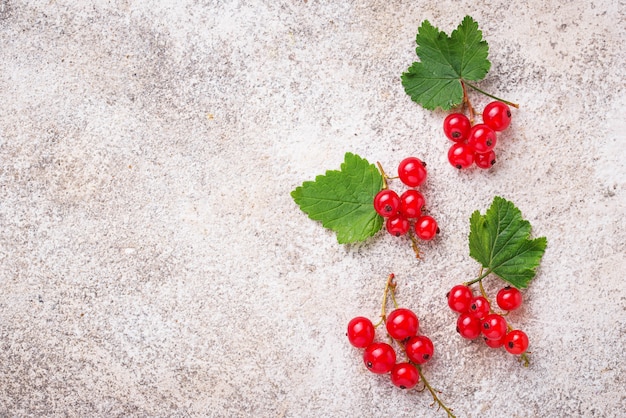 Foglie e bacche mature di ribes rosso