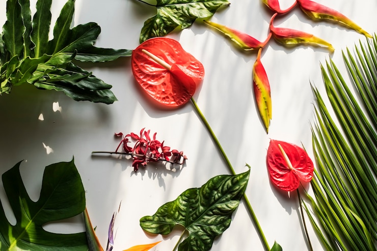 Foto foglie floreali decorazione romantica freschezza lussureggiante