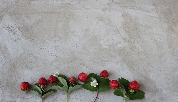 foglie, fragole e fiori di fragola su uno sfondo grigio cemento