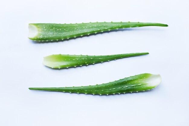 Foglie fresche di aloe vera su bianco.