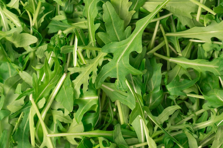Foto foglie fresche di arugula come sfondo