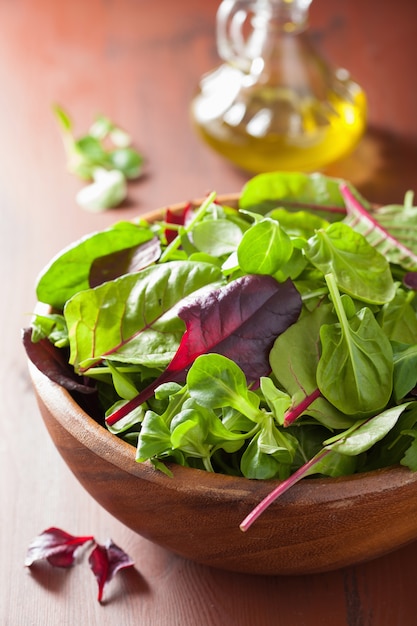 Foglie fresche di insalata in ciotola: spinaci, barbabietola, rucola